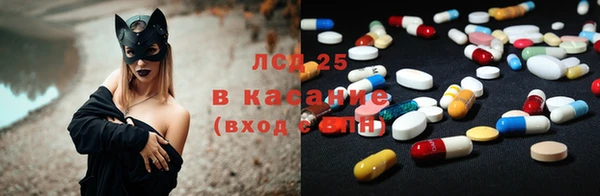 ГАЛЛЮЦИНОГЕННЫЕ ГРИБЫ Алзамай
