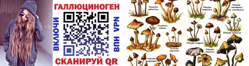 купить   Орлов  Галлюциногенные грибы мухоморы 