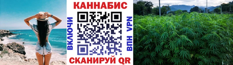 закладка  Орлов  Шишки марихуана AK-47 